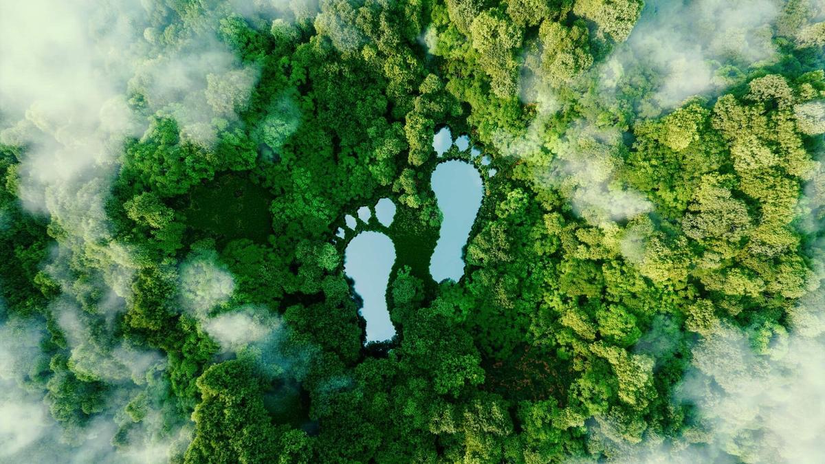 Helping You Go Green