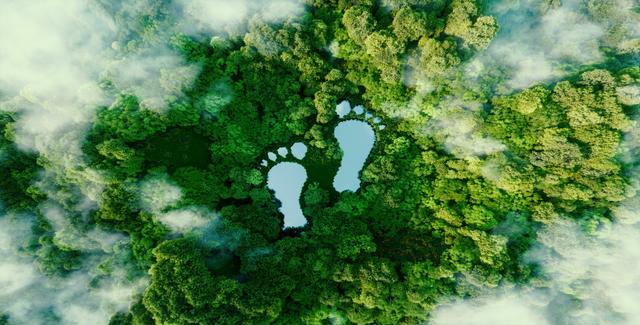 Helping You Go Green